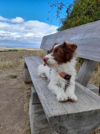 Ist das ein...?-Beitrag-Bild