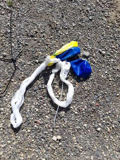 Challenge – Gassi & Clean-Beitrag-Bild