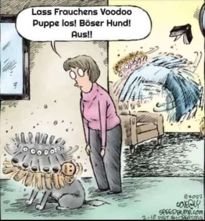 Hunde Memes-Beitrag-Bild