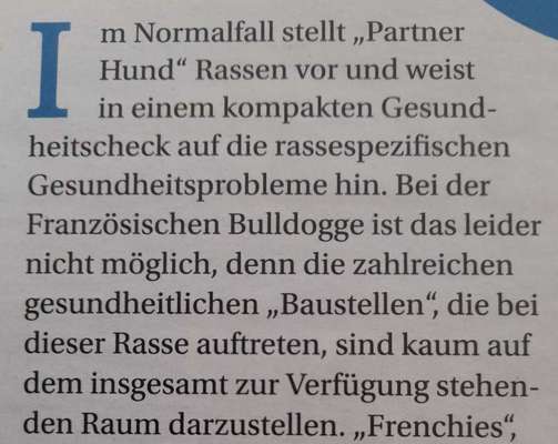 Brachycephale Hunderassen-Beitrag-Bild