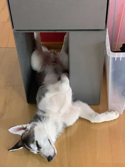 Die unbequemsten und lustigsten Schlafpositionen-Beitrag-Bild