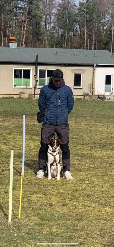 Hundetreffen-Training Hundebegenung und Freilauf-Bild
