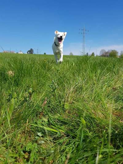 Lieblings Schnappschuss?-Beitrag-Bild