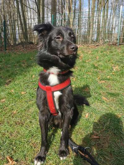 Überforderung und unterforderung-Beitrag-Bild