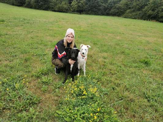 Mischlinge - die beste Rasse die es gibt-Beitrag-Bild