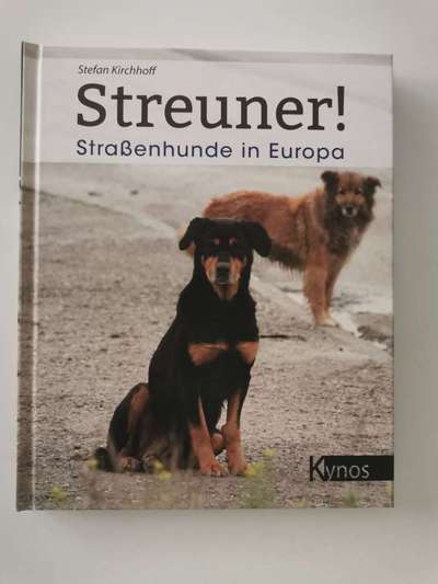 Straßenhunde. Literatur die mich nachdenklich werden lässt-Beitrag-Bild