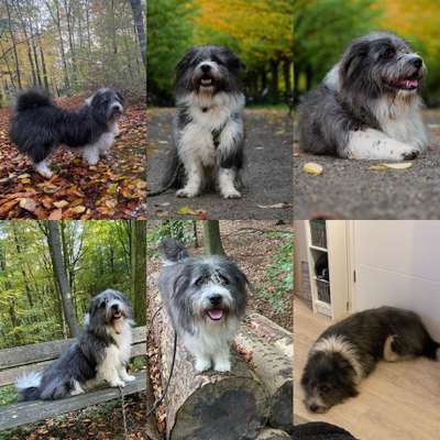 Gibts hier Mioritic Besitzer?-Beitrag-Bild