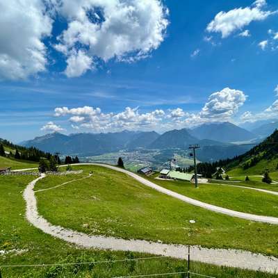 aktuelles Foto Gruppe Reisen mit Hund
