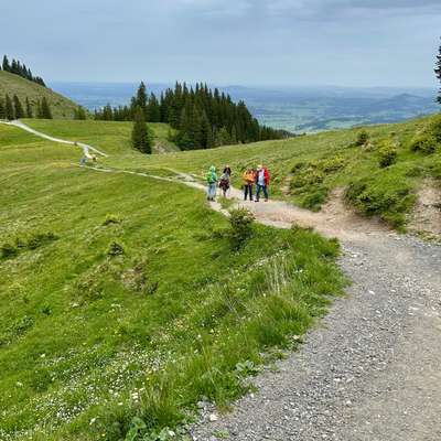aktuelles Foto Gruppe Reisen mit Hund