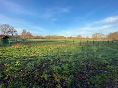 Hundeauslaufgebiet-Wildeshausen-Bild