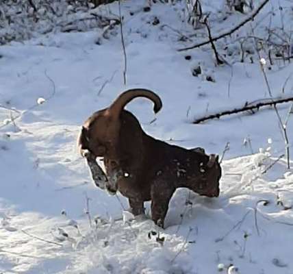 Challenge Nr. 15
Spiel im Schnee-Beitrag-Bild