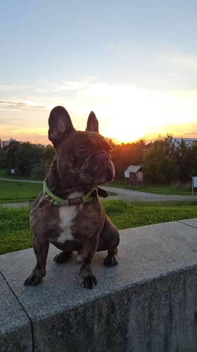 Gibt es Namens-Verwandte-Beitrag-Bild