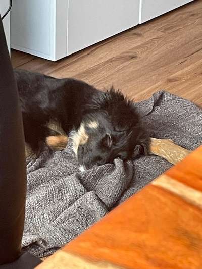 Challenge Nr. 10: "Das schönste Lächeln"-Beitrag-Bild