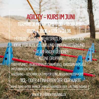 Giftköder-Agility & Auslastung im Parcours-Bild