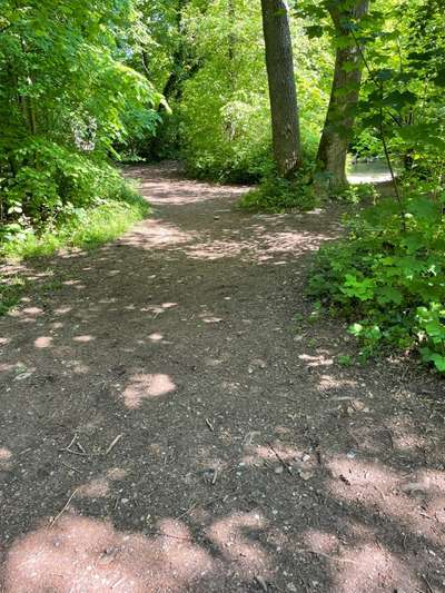 Hundeauslaufgebiet-Emmeringer Hölzl-Bild