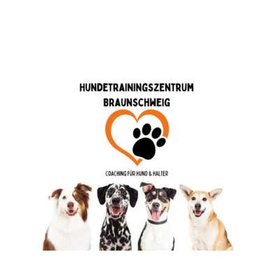 Hundeschulen-Hundetrainingszentrum Braunschweig-Bild