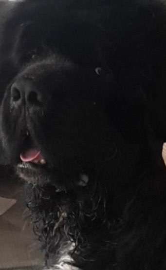 Fotochallange Nr. 57     PORTRÄT.   Beendet!!!!!!!!-Beitrag-Bild