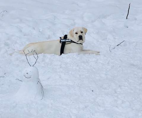 Die Dogorama Kalender Challenge Teil 2/4-Beitrag-Bild