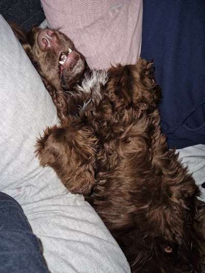 Foto Challenge - Zeigt her eure Bäuche-Beitrag-Bild