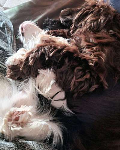 Foto Challenge - Zeigt her eure Bäuche-Beitrag-Bild