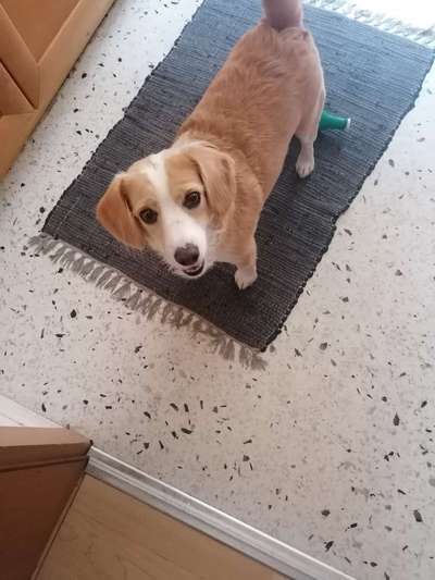 Doppelgänger gesucht !-Beitrag-Bild