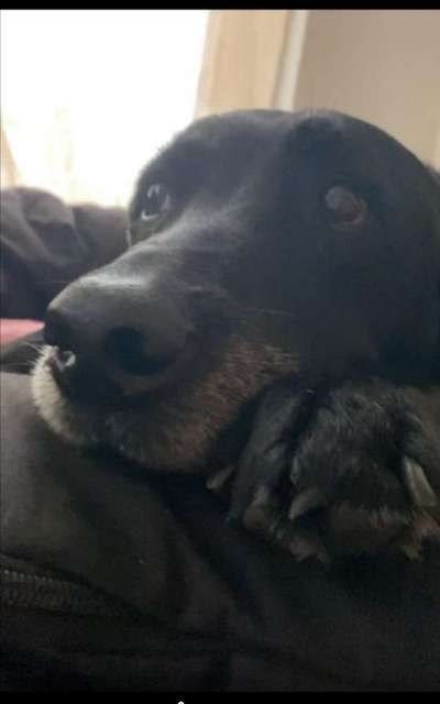 Lieblingsbild-Beitrag-Bild