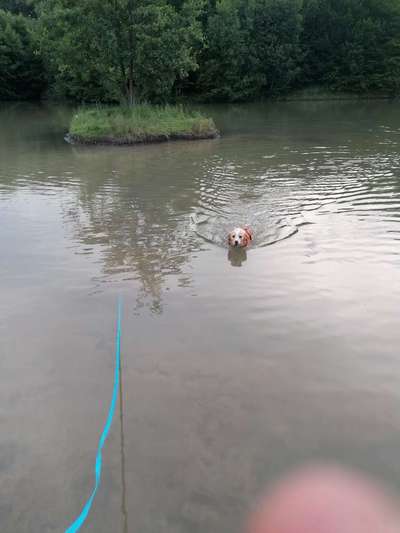 Theos Fotochallange Nummer 4-Beitrag-Bild