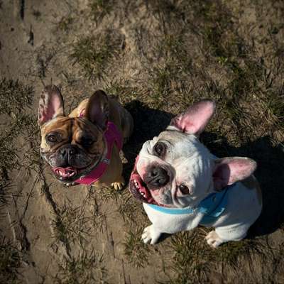 Michelle's Profilbild