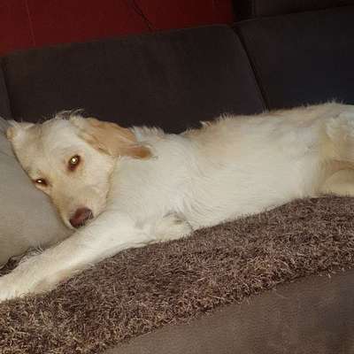 Länge der Spaziergänge-Beitrag-Bild