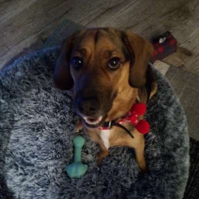 Irmgard-Edit's Profilbild