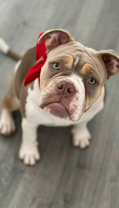 Fotochallange Nr. 57     PORTRÄT.   Beendet!!!!!!!!-Beitrag-Bild