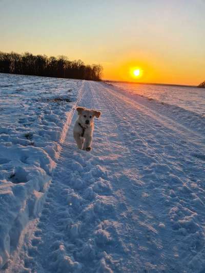 Dogorama Photo Challenge - Es wird nochmal kalt!-Beitrag-Bild