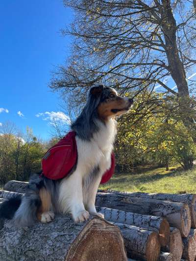 Herbst Bilder-Beitrag-Bild