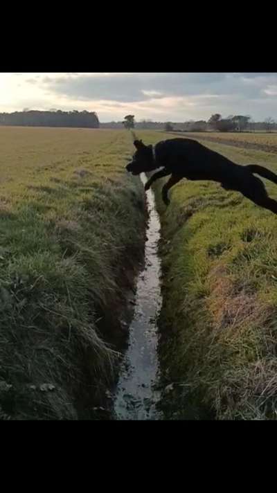 Fotochallenge Nr. 52 „Spring!“-Beitrag-Bild