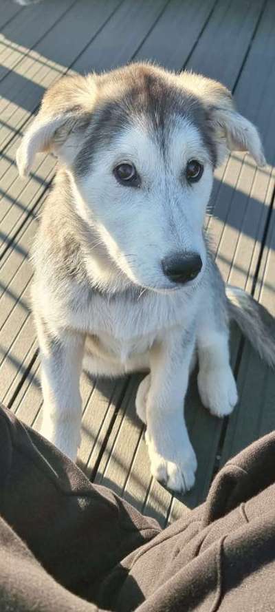 Lieblingsbild-Beitrag-Bild