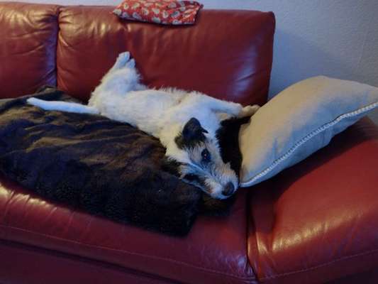 Muss ich ein Schlechtes Gewissen haben,wenn ich an mich denke!!-Beitrag-Bild