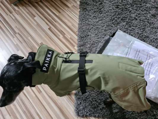 Hunde Regenmantel Erfahrungen-Beitrag-Bild