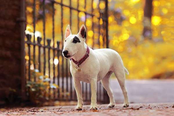 42.Fotochallenge - Eure schönen Momente beim Spaziergang-Beitrag-Bild