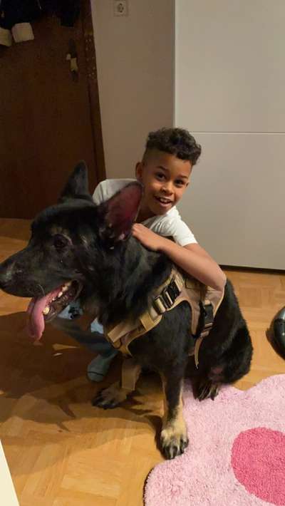 Dogorama Photo Challenge - Hundeblick zum hinschmelzen-Beitrag-Bild