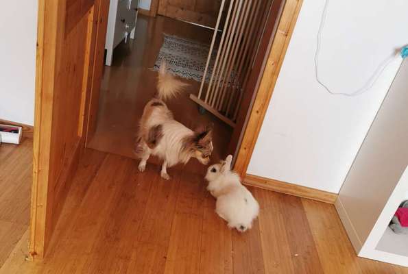 Challenge 30  Freundschaft-Beitrag-Bild