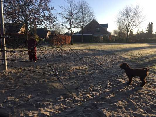 Hunde auf dem Kinderspielplatz-Beitrag-Bild