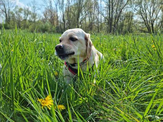 Theos  Fotochallenge Nummer 2-Beitrag-Bild