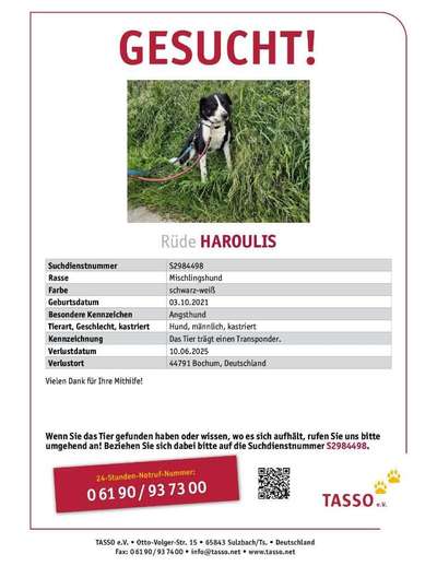 Suchmeldung-Haroulis-Bild