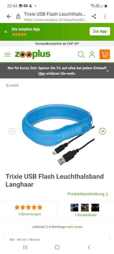 Beleuchtung am Hund-Beitrag-Bild