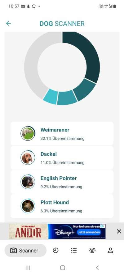 Welche Rassen stecken in unserer Hündin?-Beitrag-Bild