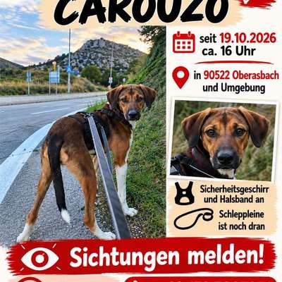 Suchmeldung-Carouzo-Bild