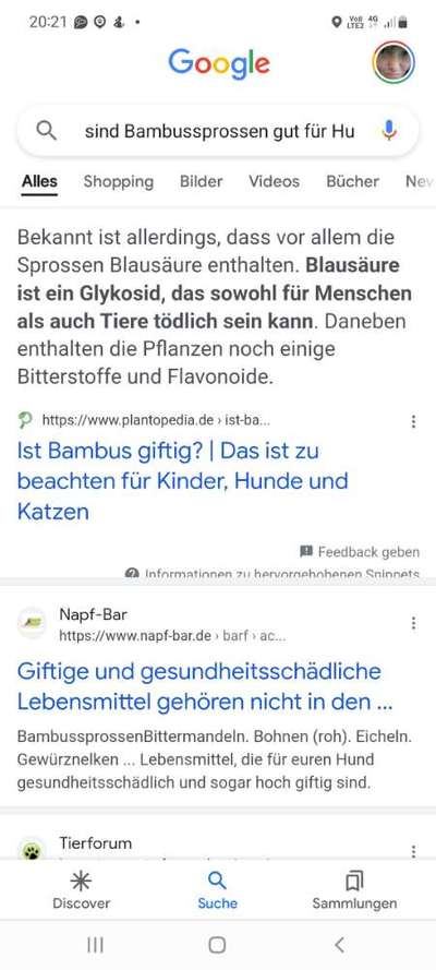 Zeigt her Eure Futternäpfe-Beitrag-Bild