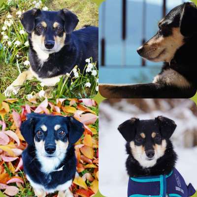 Fotochallange Nr. 57     PORTRÄT.   Beendet!!!!!!!!-Beitrag-Bild