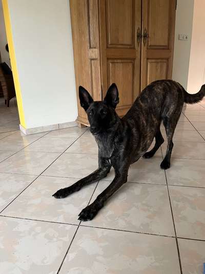 Trick Challenge Nr. 8-Beitrag-Bild