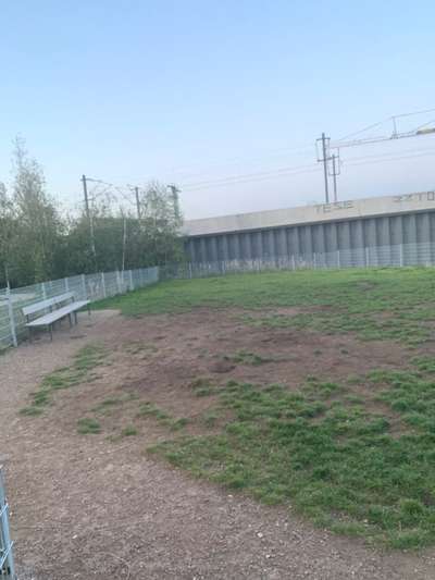 Hundeauslaufgebiet-Hafencity-Bild